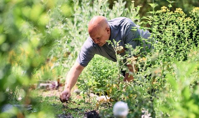 Vor der Soteria-Station gibt es eine gemeinsame Gartenfläche zum Kräuter- und Gemüseanbau