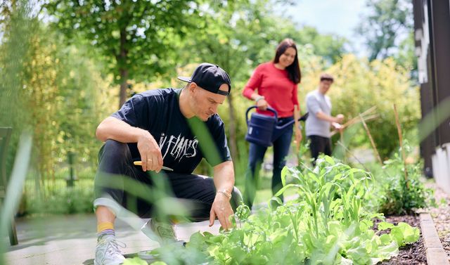 Vor der Soteria-Station gibt es eine gemeinsame Gartenfläche zum Kräuter- und Gemüseanbau