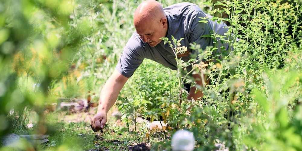 In der gartengestützten Therapie werden Pflanzen genutzt, um das eigene seelische Wohlbefinden zu stärken.n 
