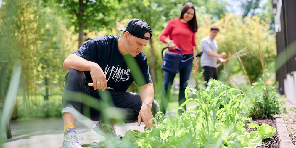 In der gartengestützten Therapie werden Pflanzen genutzt, um das eigene seelische Wohlbefinden zu stärken.n 